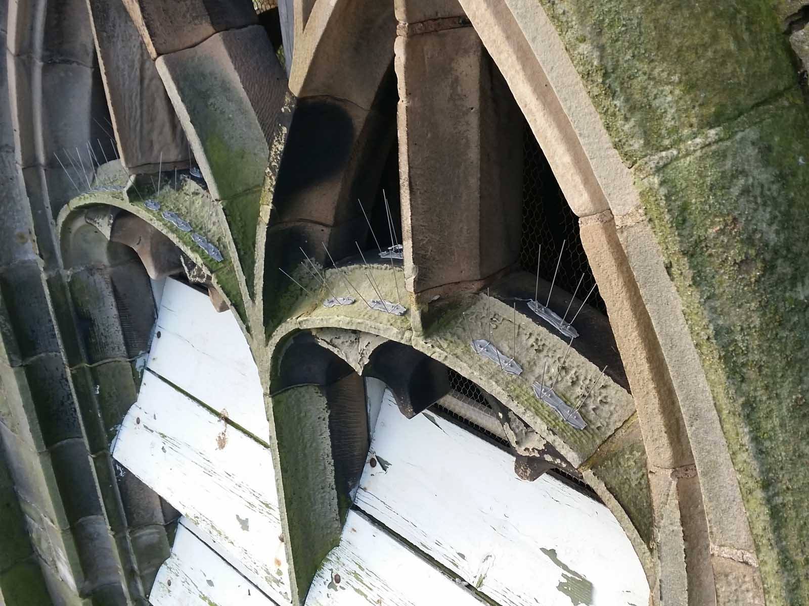pigeon spikes on church ledges